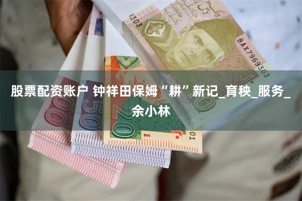 股票配资账户 钟祥田保姆“耕”新记_育秧_服务_余小林