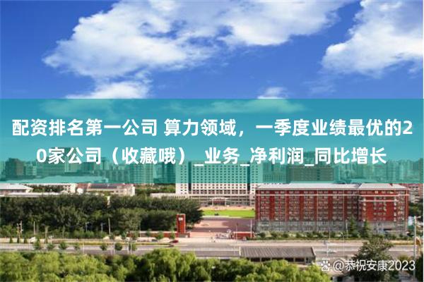 配资排名第一公司 算力领域，一季度业绩最优的20家公司（收藏哦）_业务_净利润_同比增长