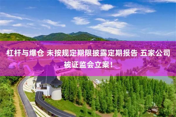 杠杆与爆仓 未按规定期限披露定期报告 五家公司被证监会立案！