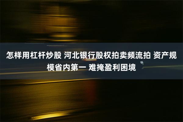 怎样用杠杆炒股 河北银行股权拍卖频流拍 资产规模省内第一 难掩盈利困境