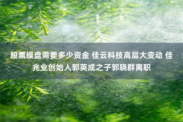 股票操盘需要多少资金 佳云科技高层大变动 佳兆业创始人郭英成之子郭晓群离职