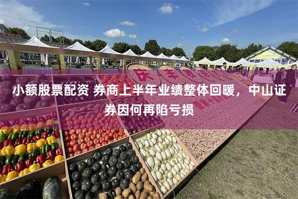 小额股票配资 券商上半年业绩整体回暖，中山证券因何再陷亏损