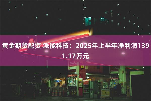黄金期货配资 派能科技：2025年上半年净利润1391.17万元