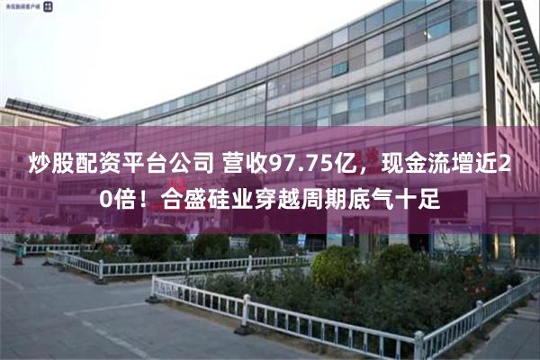 炒股配资平台公司 营收97.75亿，现金流增近20倍！合盛硅业穿越周期底气十足